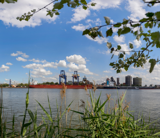 ArcelorMittal Gent Smart Delta Resources SDR